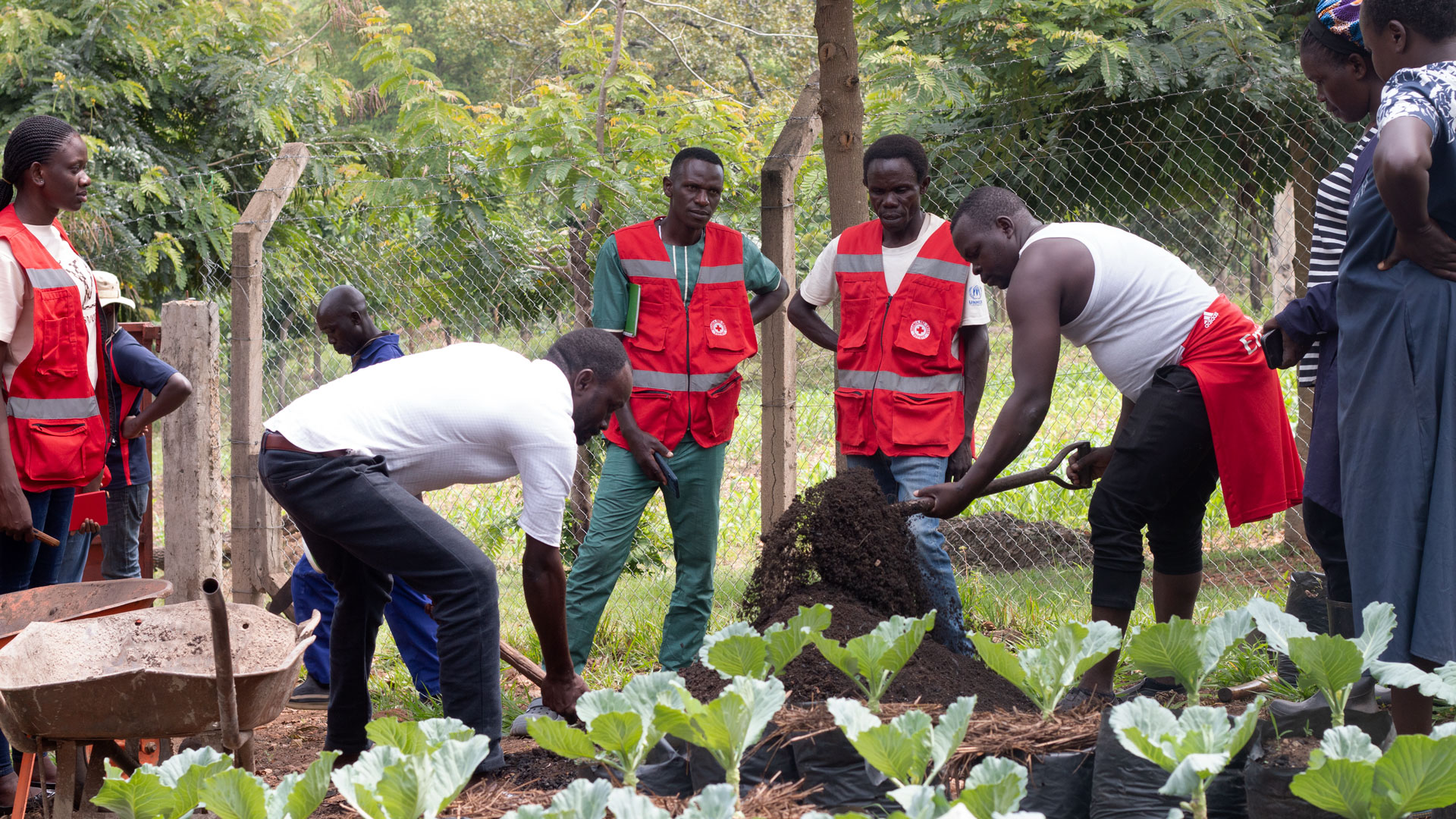 How to prepare manure